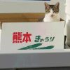 cfb8a83a-1ce5-4b67-b8a8-3a1ce54b6794